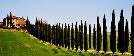 Tours in Tuscany