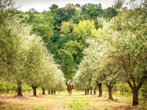 Activities in Tuscany